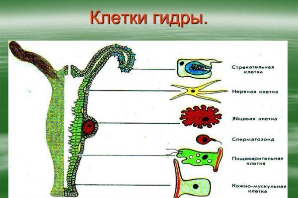 Кракен сегодня сайт зеркало